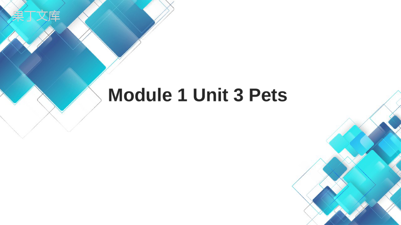 2022-2023学年牛津上海版英语九年级上册-Module-1-Unit-3-Pets-课件