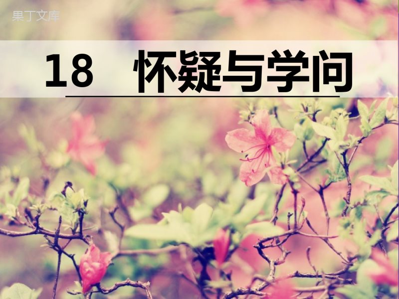 2022-2023学年部编版语文九年级上册同步多媒体教学-第19课-怀疑与学问-课件