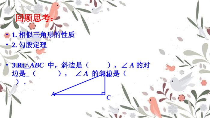 2022年秋青岛版初中数学九年级上册--锐角三角比-课件