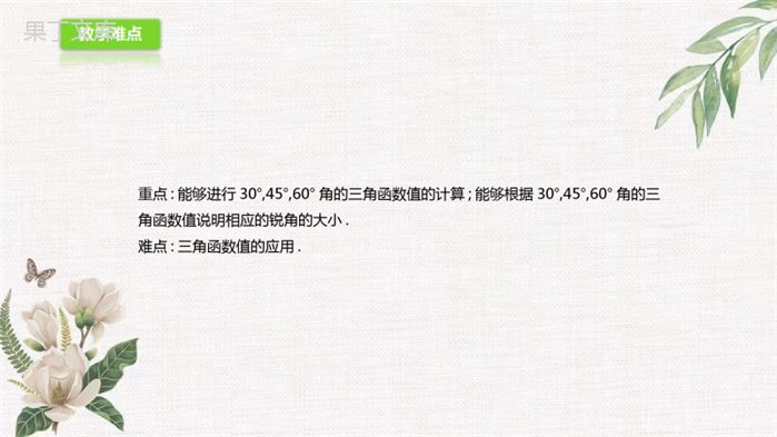 2022年秋鲁教版(五四制)数学九年级上册---30°-45°-60°的三角函数值-课件