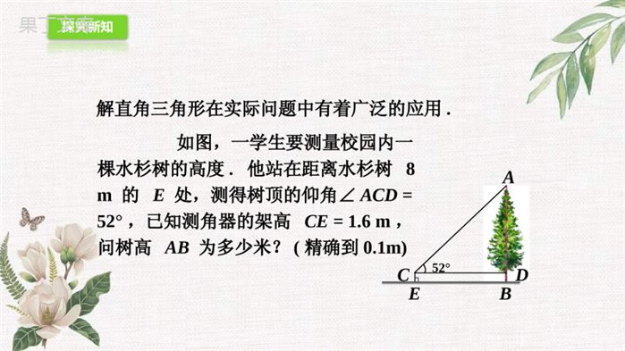 2022年秋鲁教版(五四制)数学九年级上册---三角函数的应用-课件