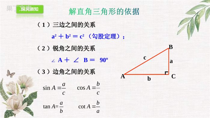 2022年秋鲁教版(五四制)数学九年级上册--解直角三角形-课件