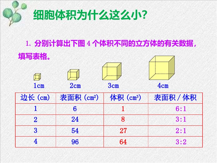 3.3-细胞通过分裂而增殖