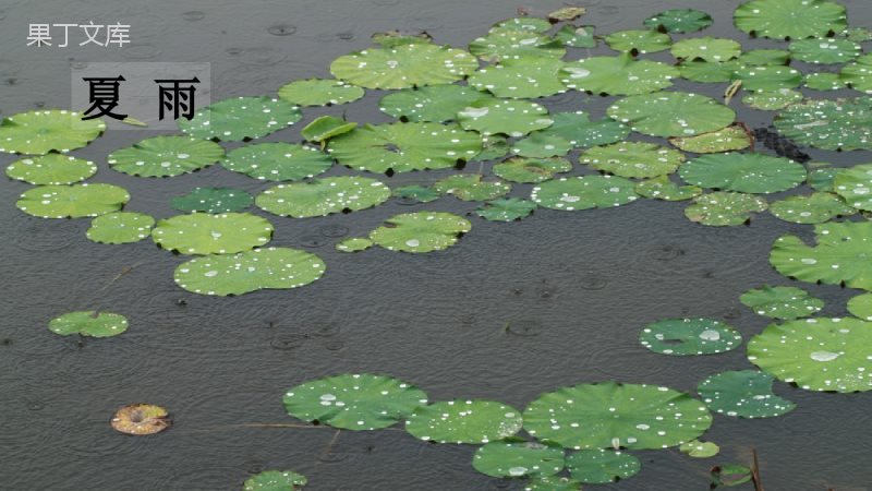 3.雨的四季-部编版实用课件