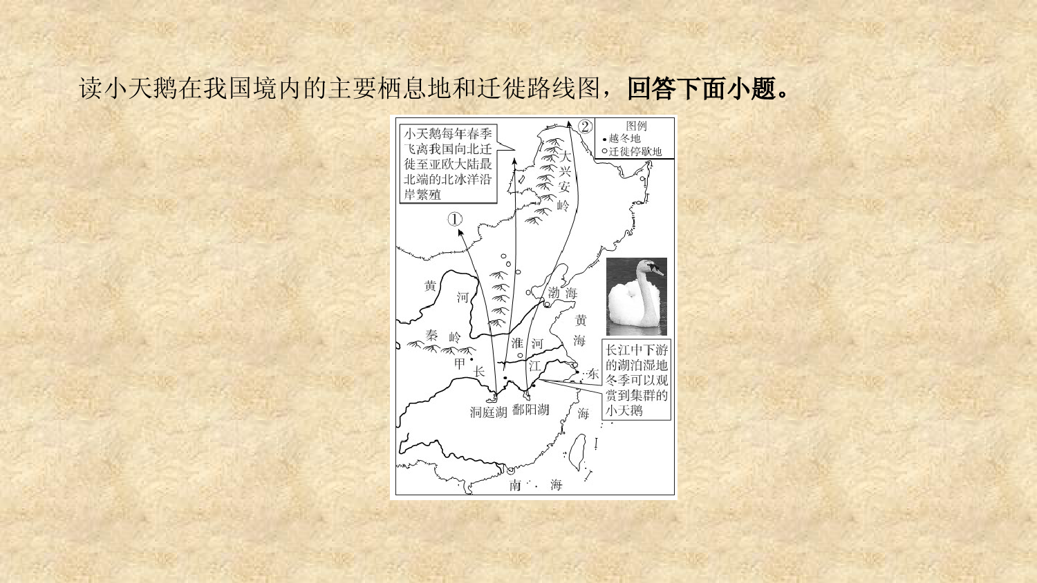 中考人教版地理总复习-专题十二-中国的自然环境-地形和地势-课件