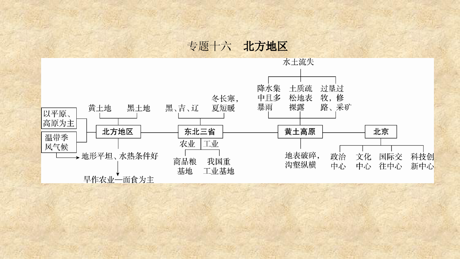 中考人教版地理总复习-专题十六-北方地区-北方地区的自然特征与农业、东北三省-课件