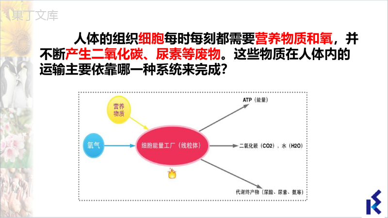 人体内物质的运输-2022-2023学年八年级生物上册同步精品课堂(苏科版)