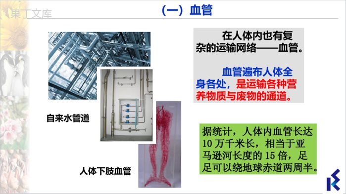 人体内物质的运输-2022-2023学年八年级生物上册同步精品课堂(苏科版)