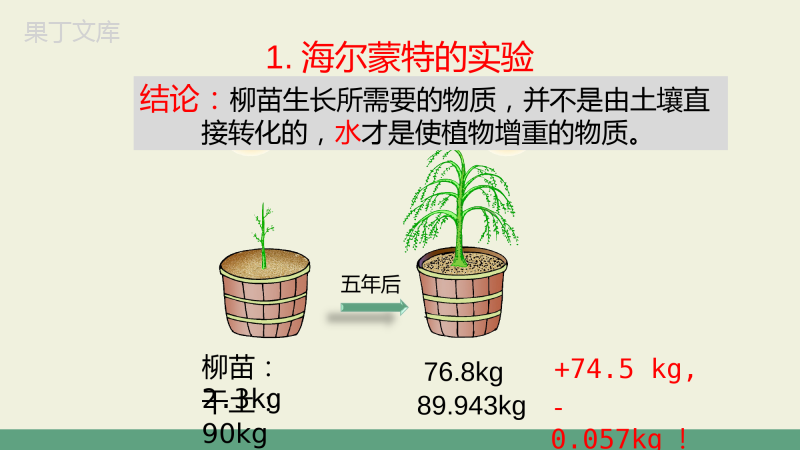 光合作用(第1课时)-2022-2023学年七年级生物上学期同步精品课件(北师大版)