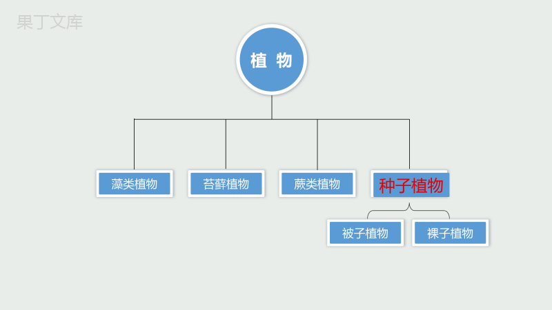 八年级生物上(苏教版)14.1五彩缤纷的植物世界第二课时