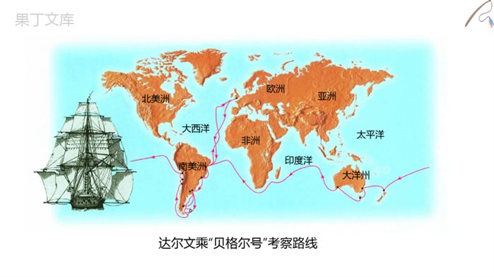 八年级生物上(苏教版)16.2生物进化的历程