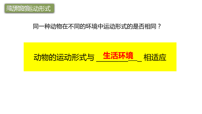 八年级生物上(苏教版)17.1动物运动的形式和能量供应