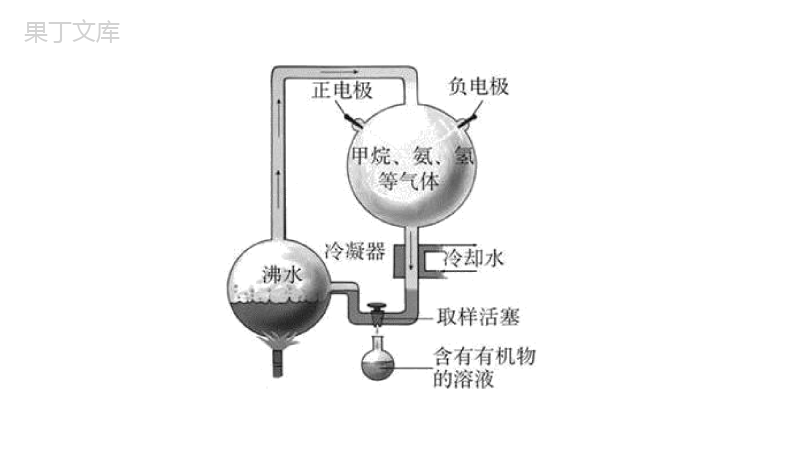 八年级生物上册(苏教版)16.2生物进化的历程