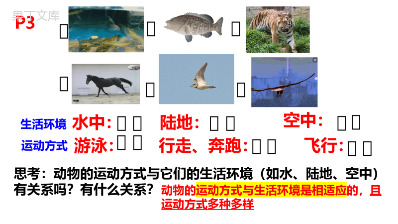 动物运动的方式课件2022-2023学年北师大版生物八年级上册