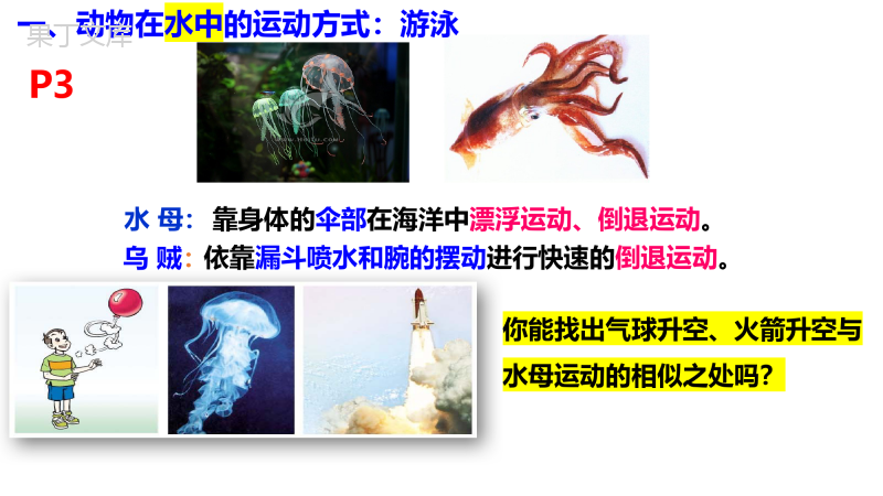 动物运动的方式课件2022-2023学年北师大版生物八年级上册