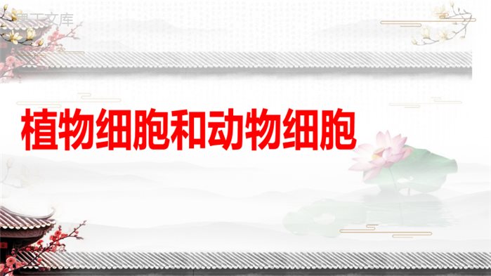 植物细胞和动物细胞(课件)-2022-2023学年七年级生物上册同步课件精讲+习题精练(人教版)