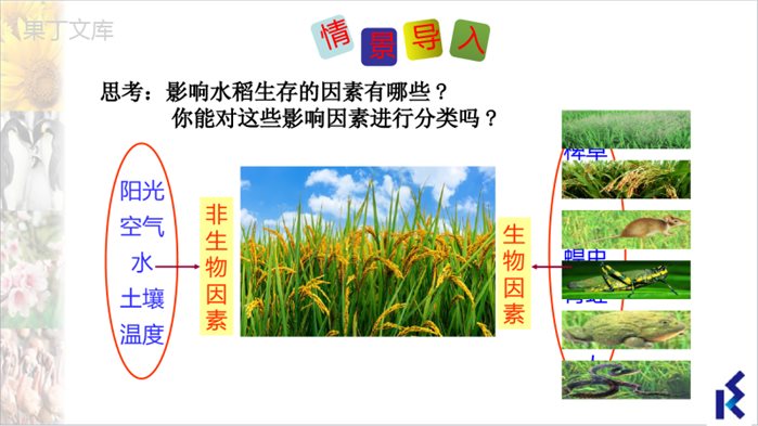 环境影响生物的生存-2022-2023学年七年级生物上册同步精品课堂(苏科版)