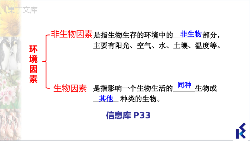 环境影响生物的生存-2022-2023学年七年级生物上册同步精品课堂(苏科版)