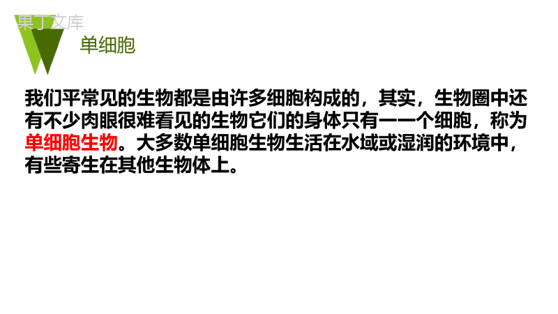 第二单元第二章第四节-单细胞生物-2022-2023学年七年级上册生物同步备课精制课件(人教版)