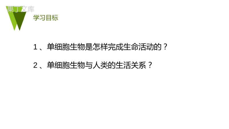 第二单元第二章第四节-单细胞生物-2022-2023学年七年级上册生物同步备课精制课件(人教版)