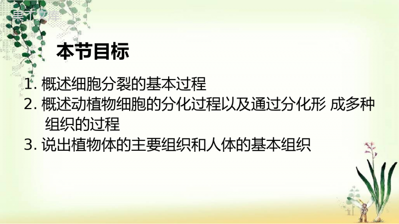 细胞的分裂和分化-2022-2023学年上学期七年级生物同步精讲课件(苏教版)