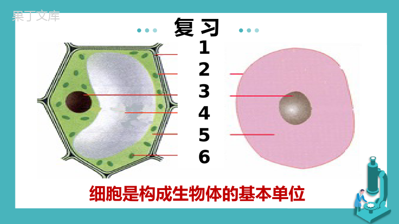 细胞的生活-2022-2023学年七年级生物名师精讲课件(人教版七上)