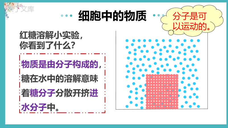 细胞的生活-2022-2023学年七年级生物名师精讲课件(人教版七上)