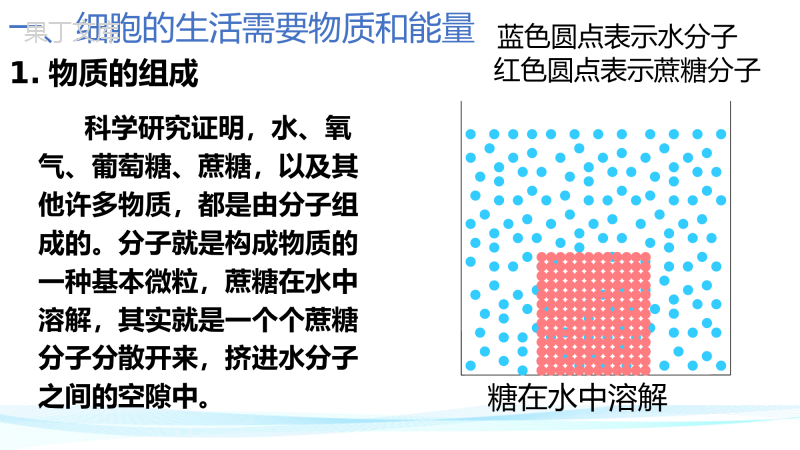 细胞的生活-2022-2023学年上学期七年级生物名师精讲课件(人教版七上)