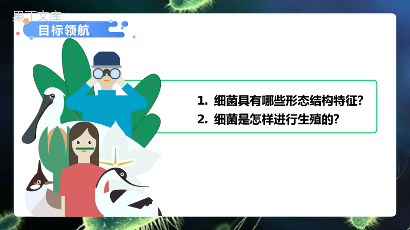 细菌2022-2023学年八年级生物上学期同步优质课件(人教版)