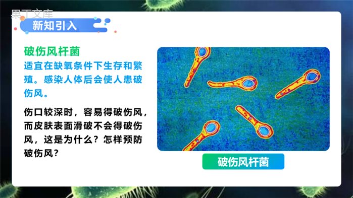 细菌2022-2023学年八年级生物上学期同步优质课件(人教版)