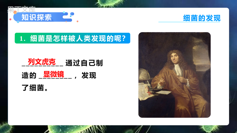 细菌2022-2023学年八年级生物上学期同步优质课件(人教版)