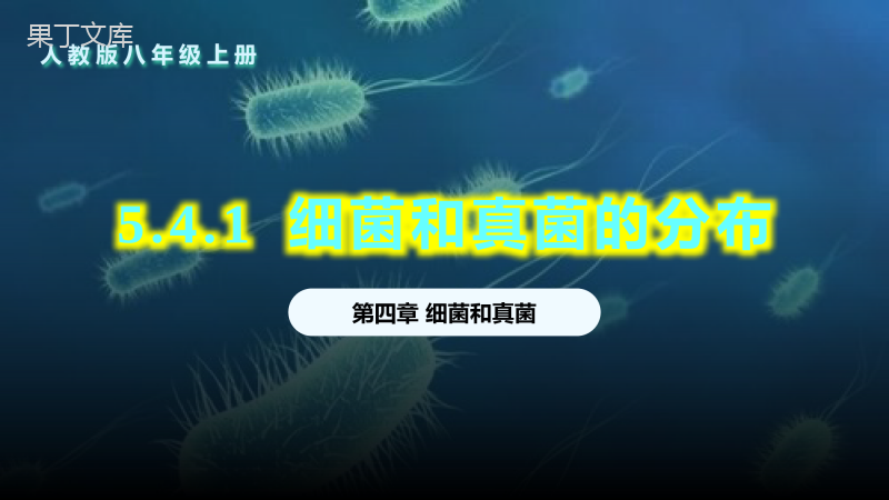 细菌和真菌的分布-2022-2023学年八年级生物上学期同步优质课件(人教版)