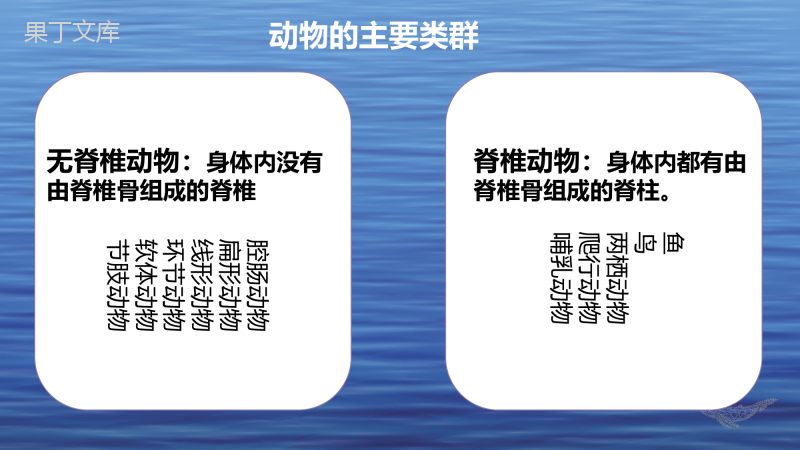 鱼(上课用)-2022-2023学年八年级生物上学期同步精品课件(人教版)