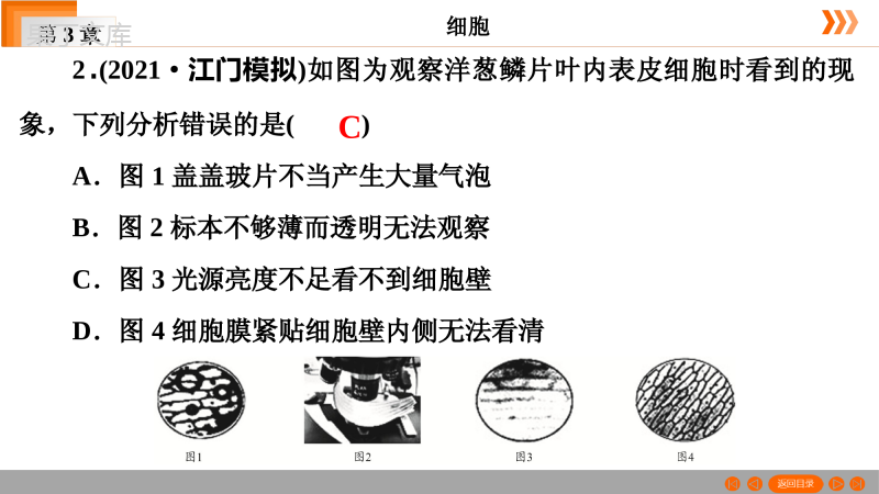 (广东中考初三生物复习历年真题PPT)第2单元--第3章--细胞