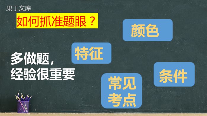 2023年中考化学实验题专项复习