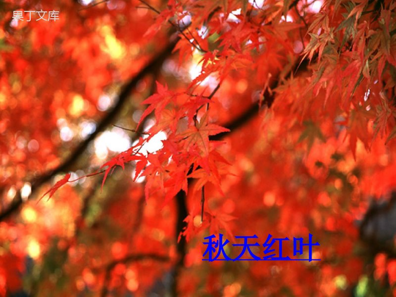 2023年新中考语文七上复习课件之4