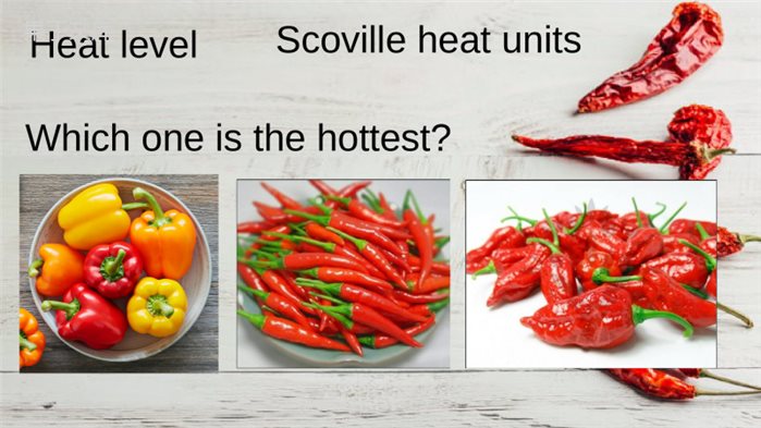 The-hottest-chilies