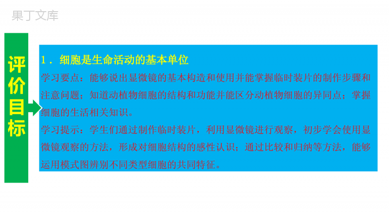 专题--生物体的结构层次【复习课件】-2023年中考生物一轮单元复习(通用版)