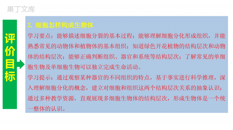 专题--生物体的结构层次【复习课件】-2023年中考生物一轮单元复习(通用版)