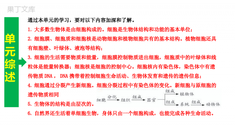 专题--生物体的结构层次【复习课件】-2023年中考生物一轮单元复习(通用版)