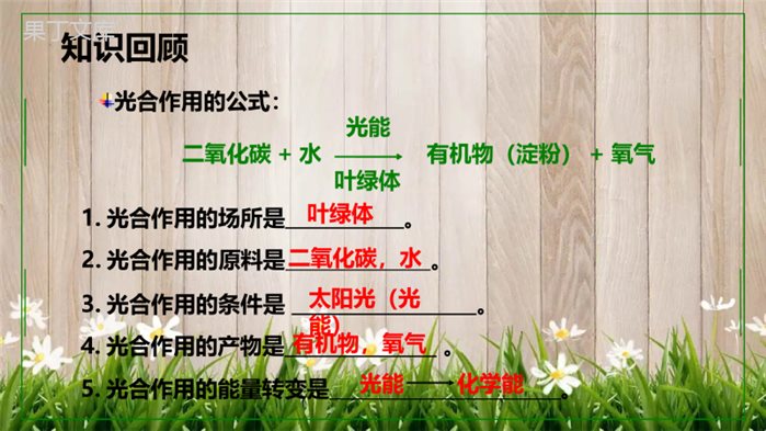 七年级上生物《绿色植物的呼吸作用》PPT