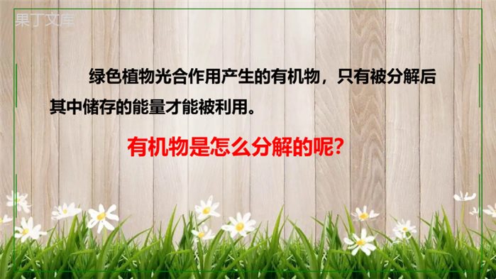 七年级上生物《绿色植物的呼吸作用》PPT