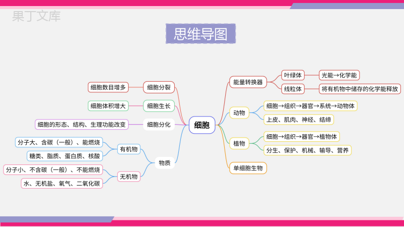 专题03+细胞怎样构成生物体(课件精讲)-2023年中考生物一轮复习讲练测