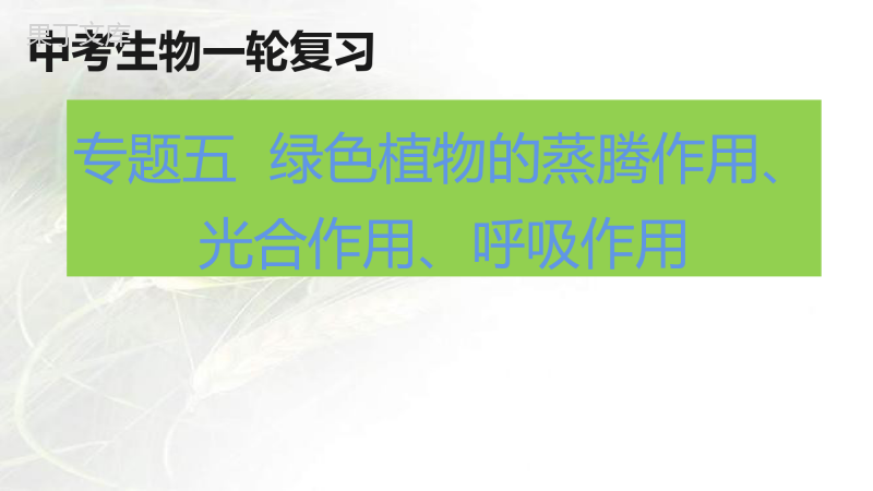 专题05+绿色植物的蒸腾作用、光合作用和呼吸作用-备战2023年中考生物一轮复习考点帮(全国通用)