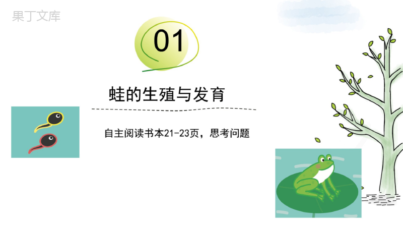 两栖类的生殖与发育-2022-2023学年八年级生物下册同步精品课堂(苏教版)