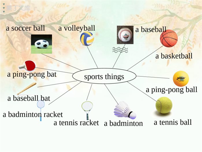 人教版七上第五单元复习课件