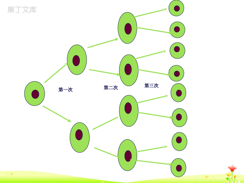 人教版七年级上册数学有理数的乘方课件