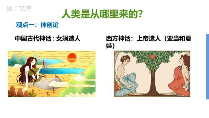 人类的起源和发展-2022-2023学年七年级生物下册同步教学精品课件(人教版)