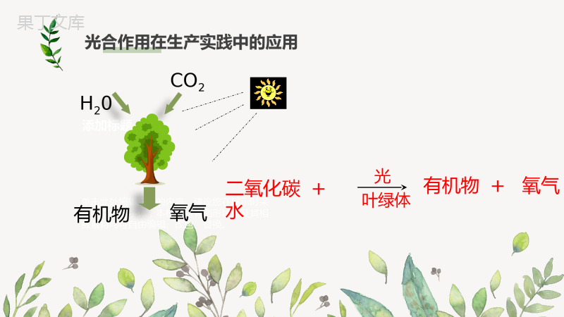 光合作用和呼吸作用原理的应用(精讲课件)-七年级生物上册同步精品课堂(苏教版)-(1)