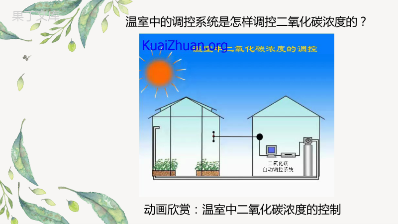 光合作用和呼吸作用原理的应用(精讲课件)-七年级生物上册同步精品课堂(苏教版)-(1)